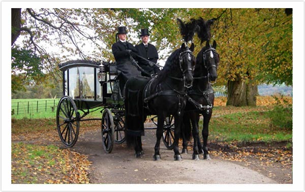 Hugh Wade & Son Horse Drawn Hearse